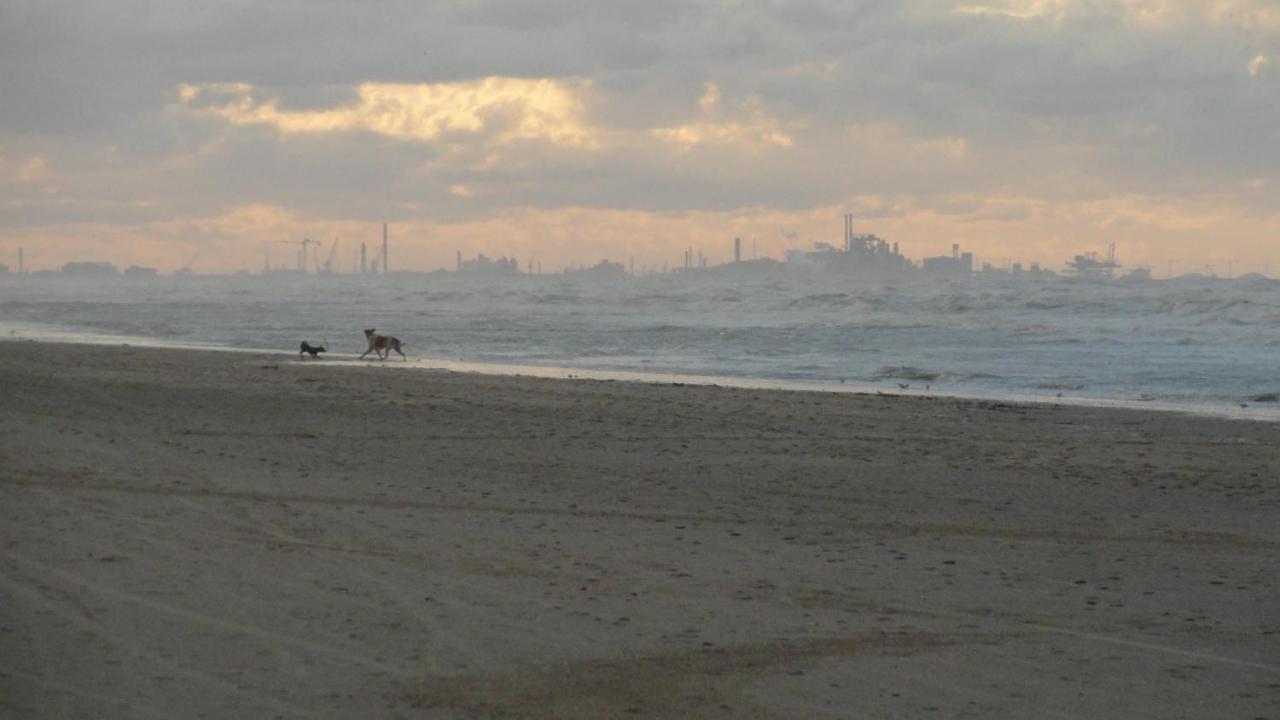Apt 6 Pers. Duplex Vue Mer Avec Charme De L'Ancien Bray-Dunes Exteriör bild